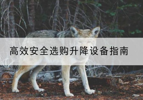 凤泉升降货梯厂家推荐-*安全选购升降设备指南