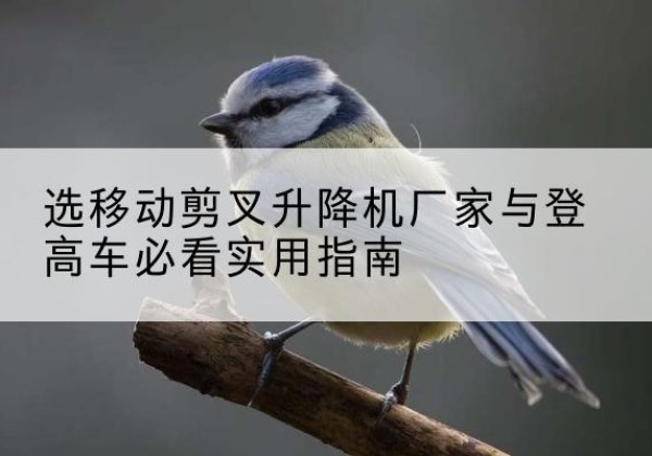 凤泉电动升降机厂家-选移动剪叉升降机厂家与登高车必看实用指南