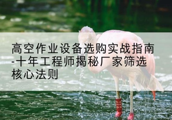凤泉剪叉式升降机厂家-高空作业设备选购实战指南-十年工程师揭秘厂家筛选核心法则